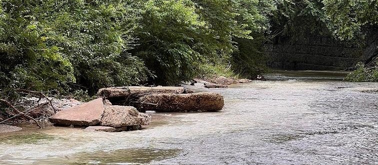 Creekside Celebration 2024 background