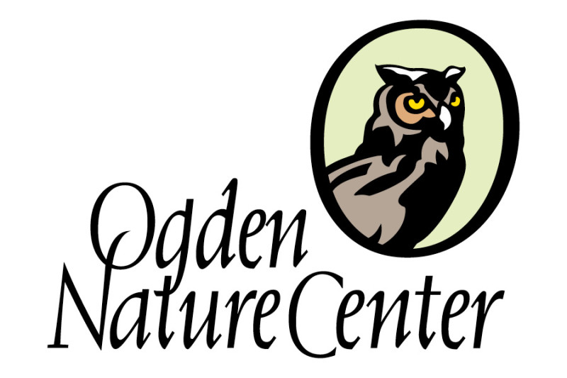 2024 Wildwoods Bash logo