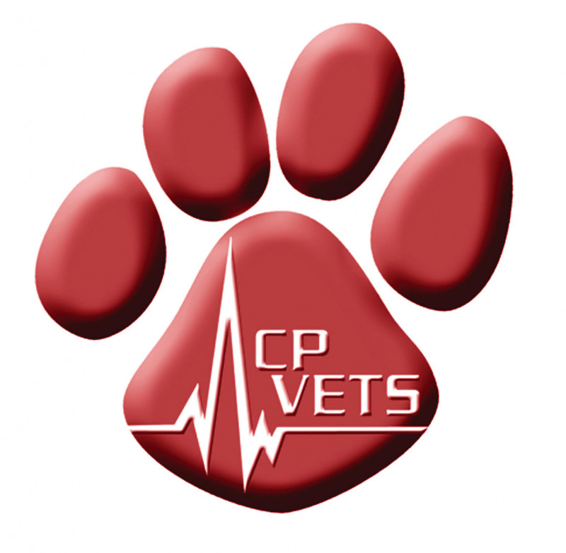Sponsor logo