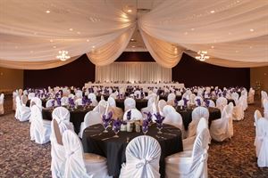 MGW Gala 2024 background