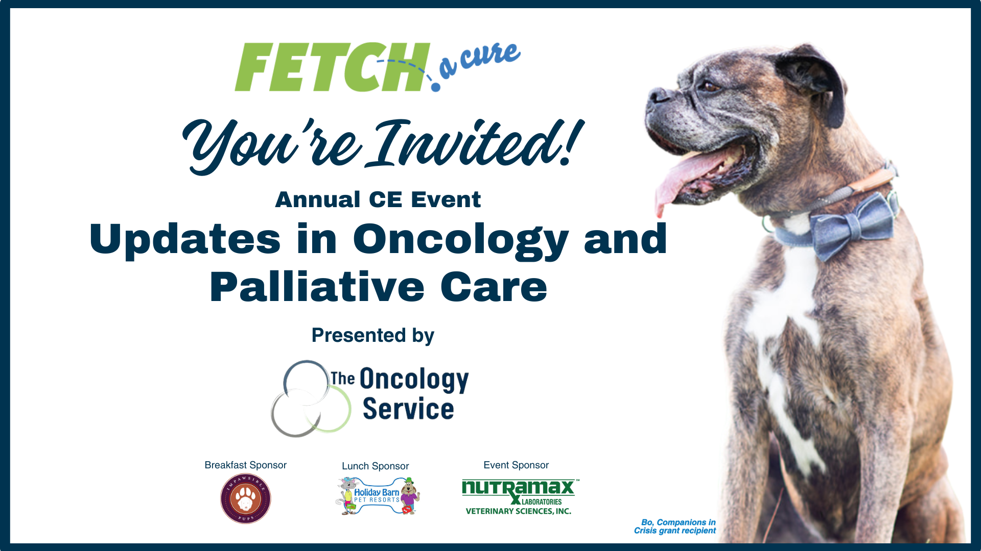 Updates in Oncology and Palliative Care logo