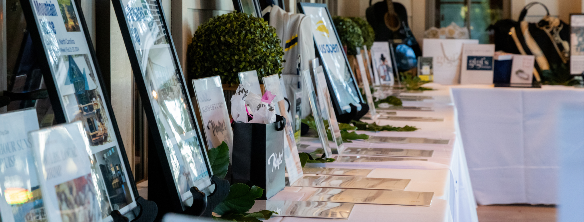 HHCA Magical Night on the May presented by Cloud Studio background