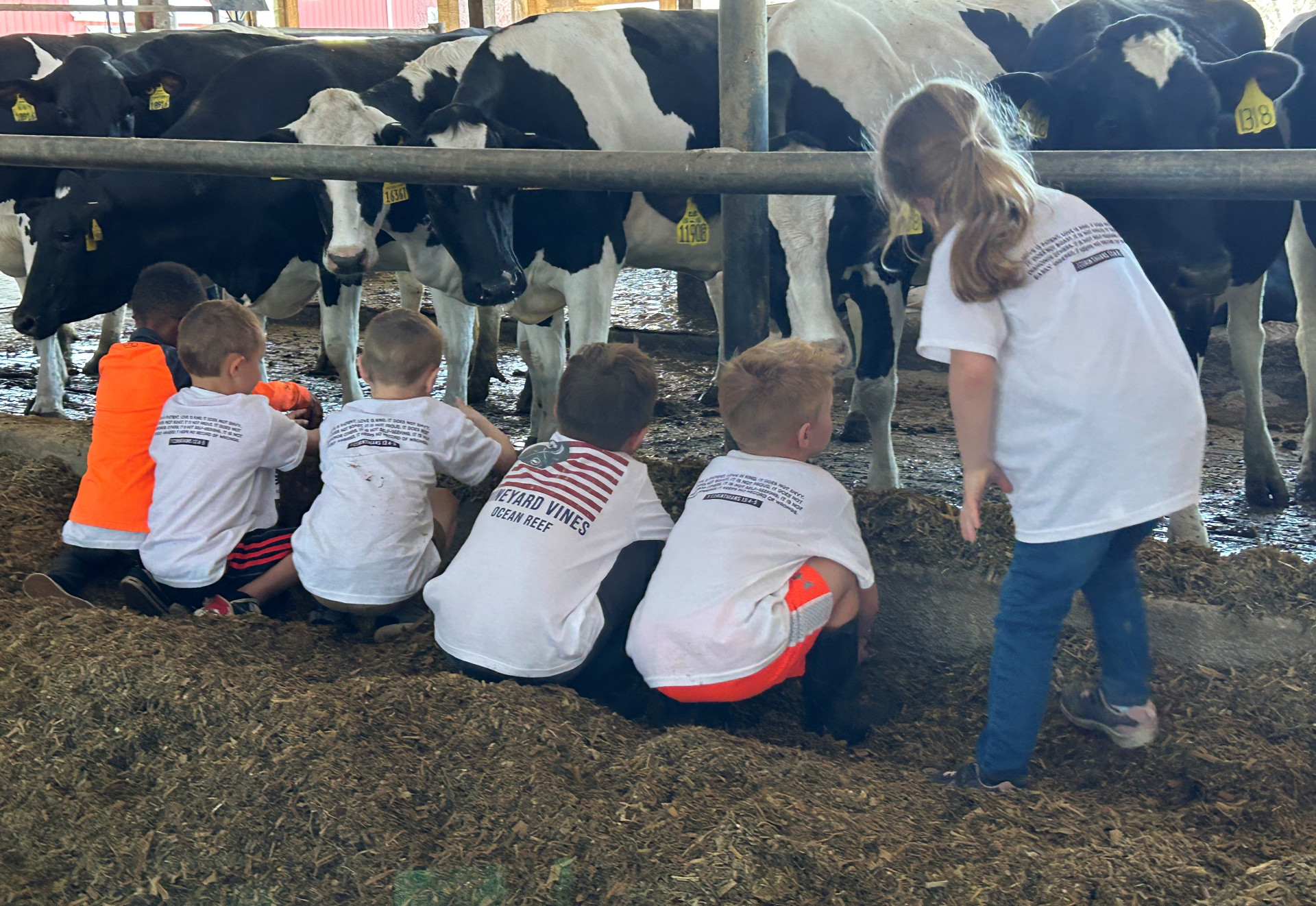 Dairy Discovery 2024 Benefit Auction background