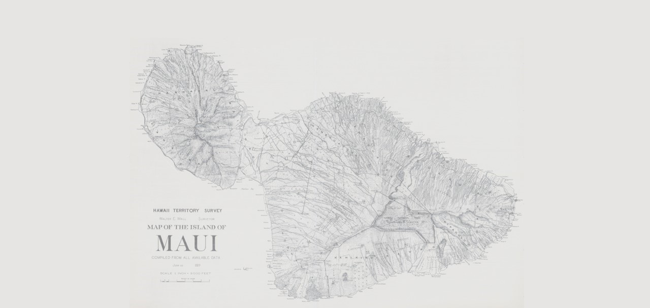 SHA Conference 2024 background