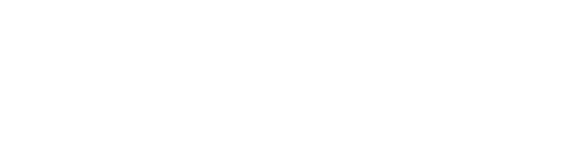 MetroWest YMCA Dream Big Gala 2024 logo