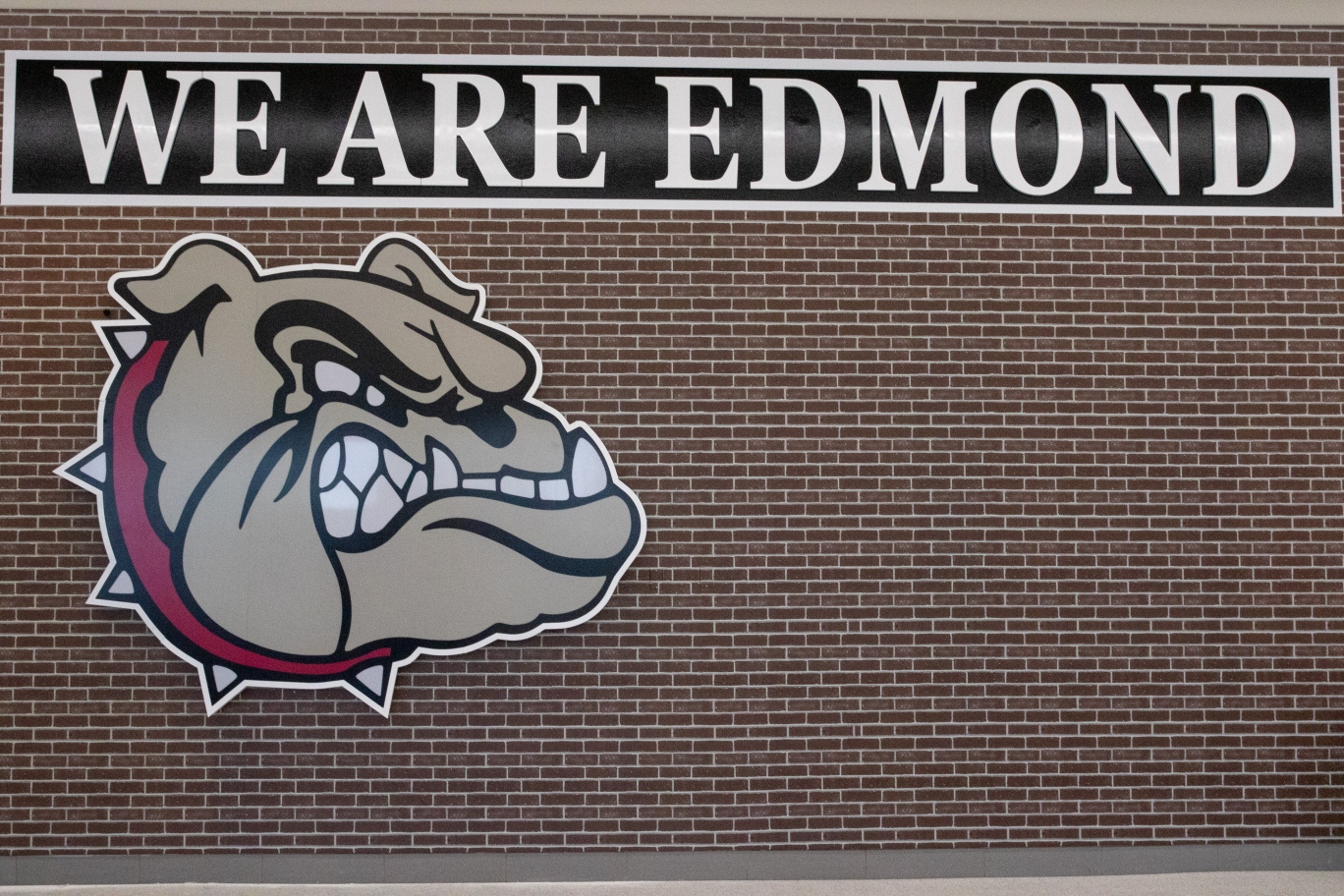 Bids for Bulldogs & Taste of Memorial 2025 background