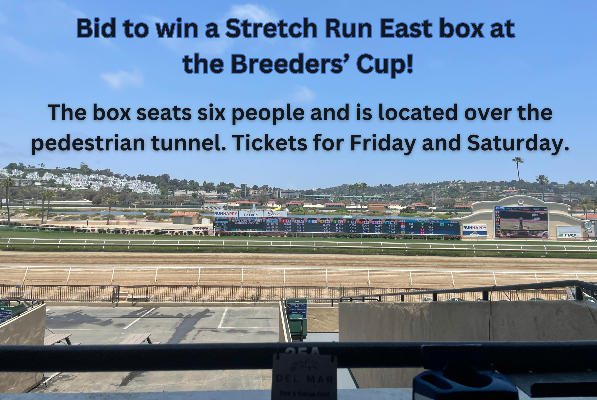 Breeders' Cup Box 2024 logo