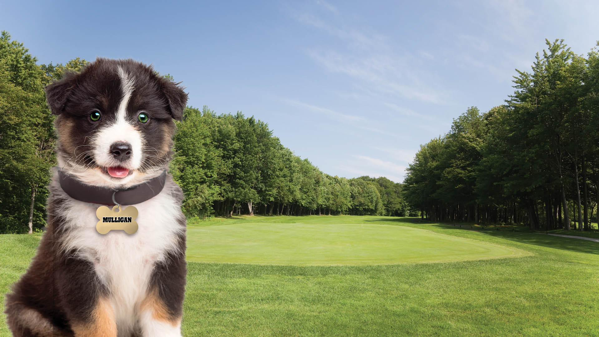 2025 Putts Fore Pups Golf Tournament background