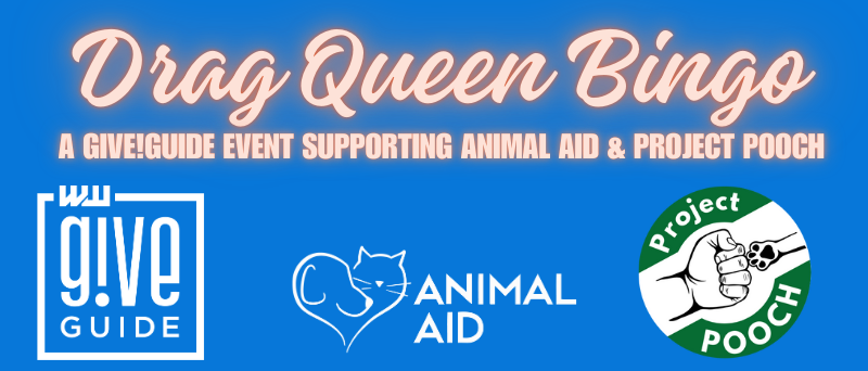 Drag Queen Bingo logo