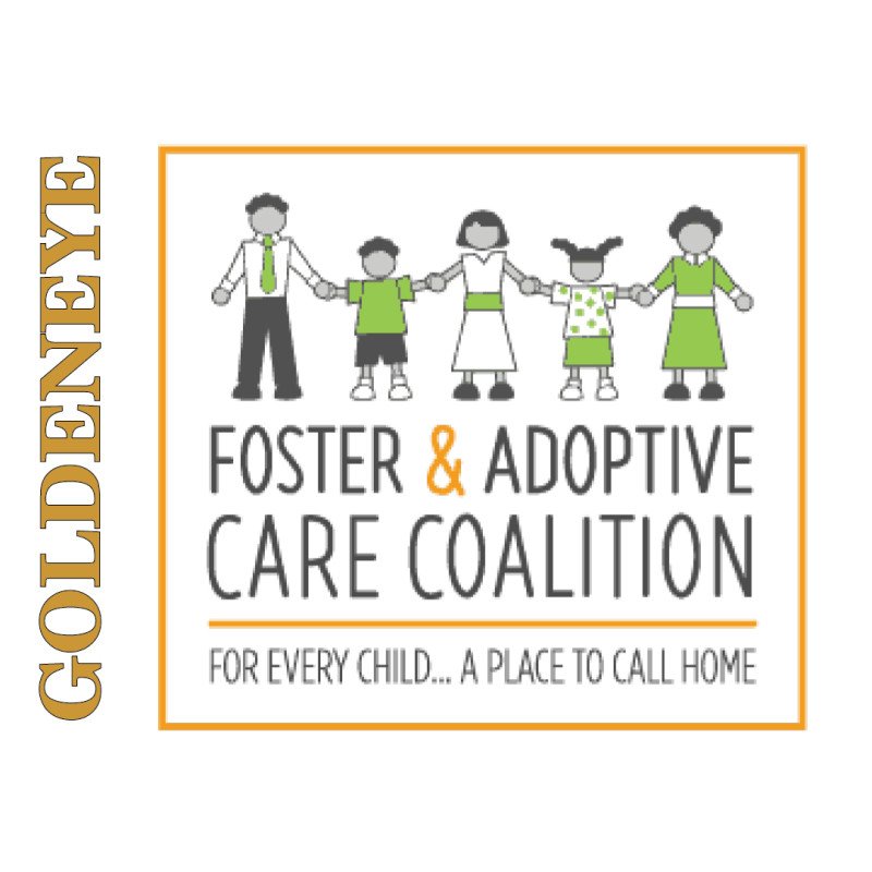 https://www.foster-adopt.org/