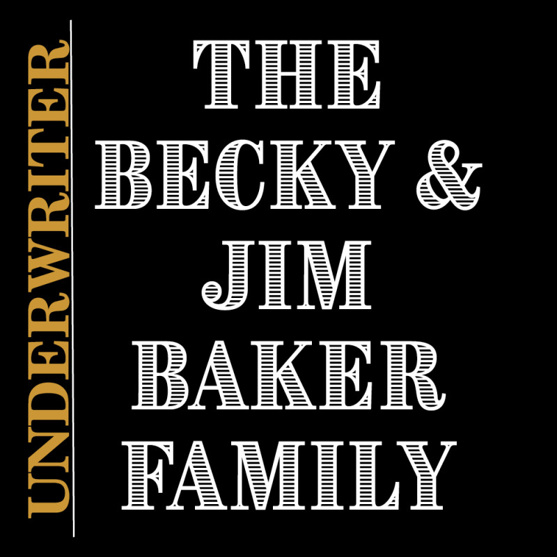 Sponsor logo