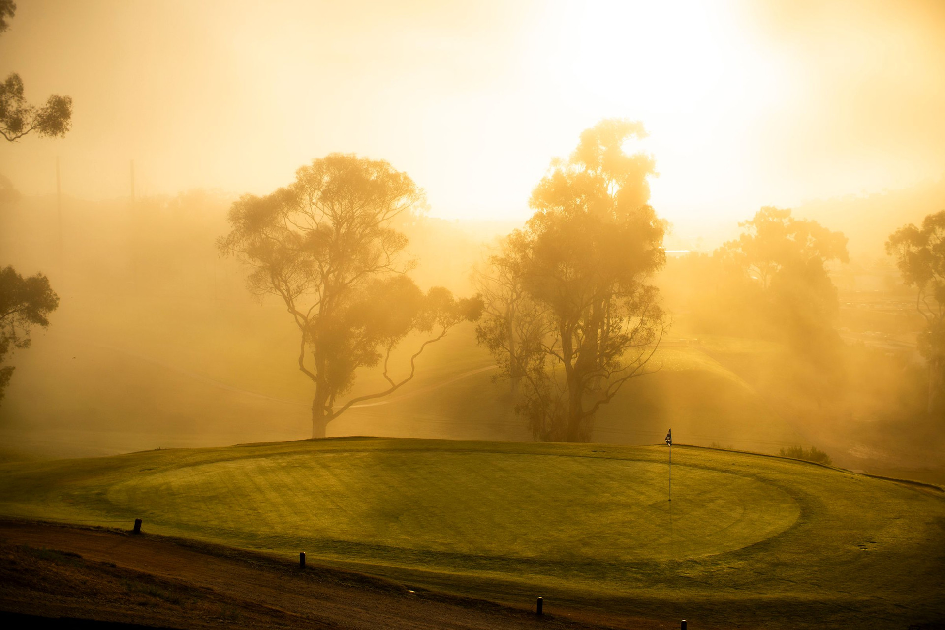 2024 Wishbone Brawl background
