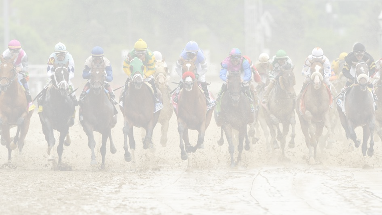 2025 Derby Knights background