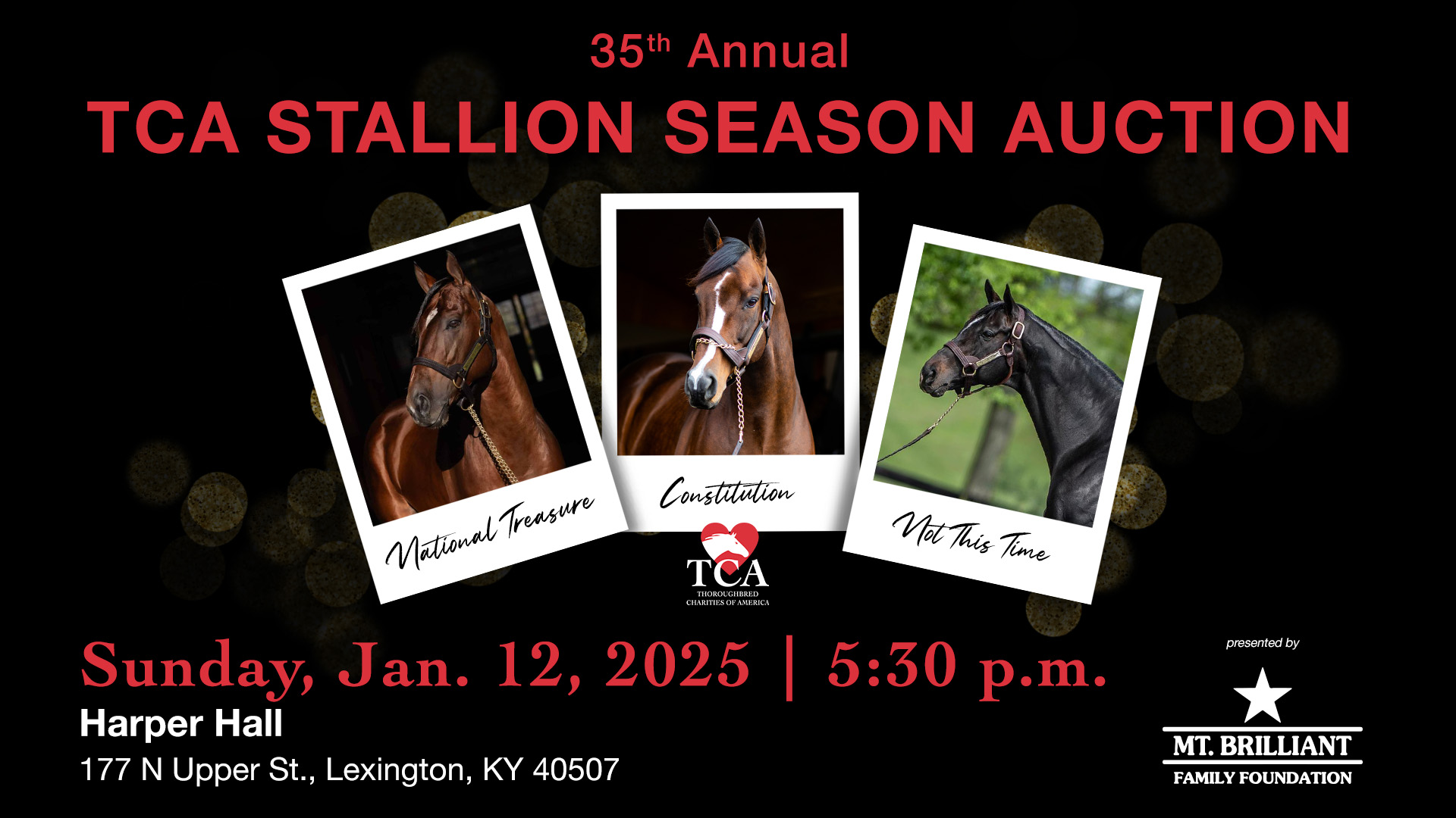 Stallion Season Auction 2025 logo