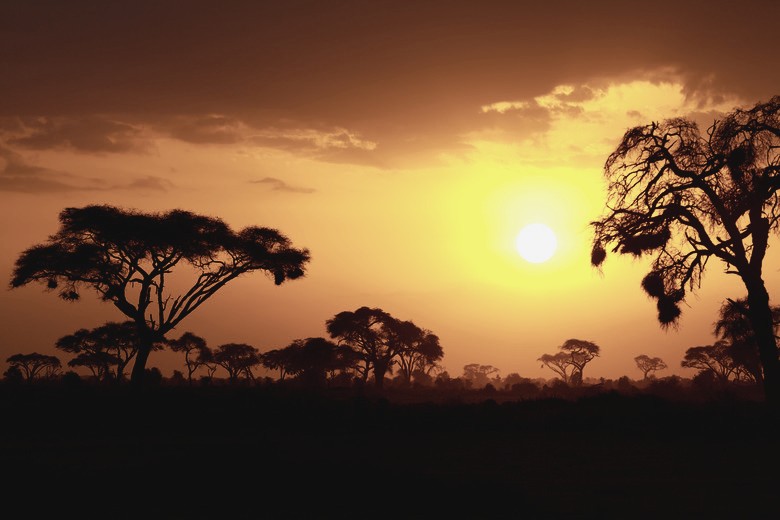 MacDonald Training Center background