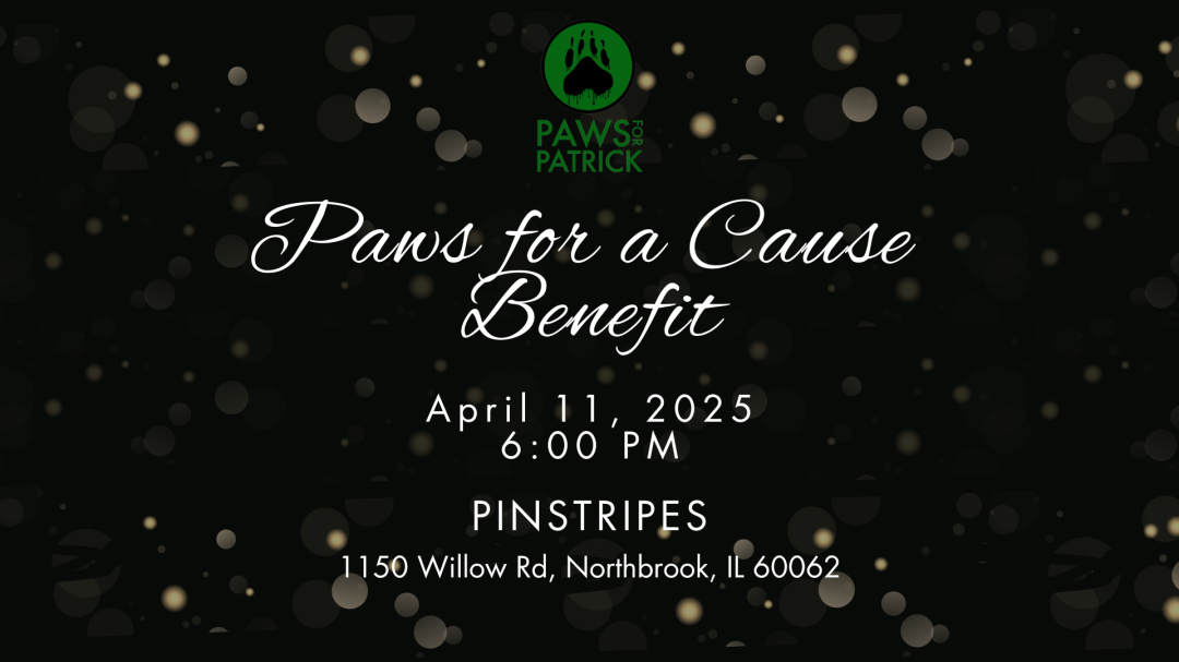 Paws for a Cause Benefit 2025 banner