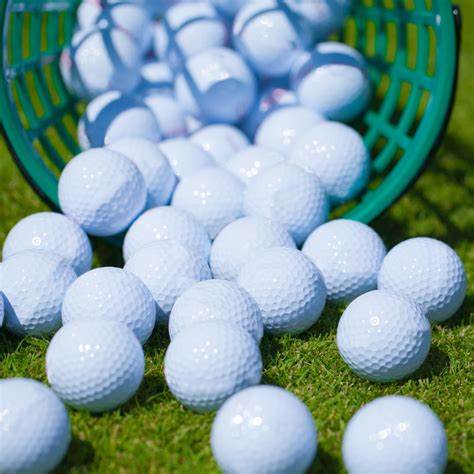 Florissant Rotary Golf Tournament 2025 background