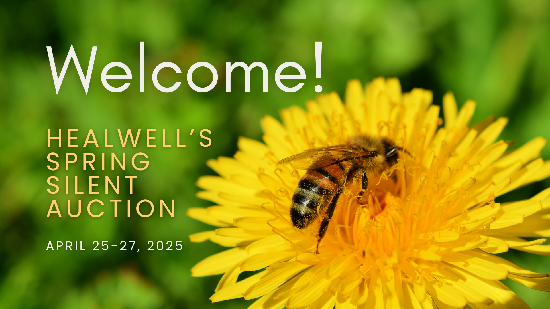 Healwell's Online Spring Auction logo