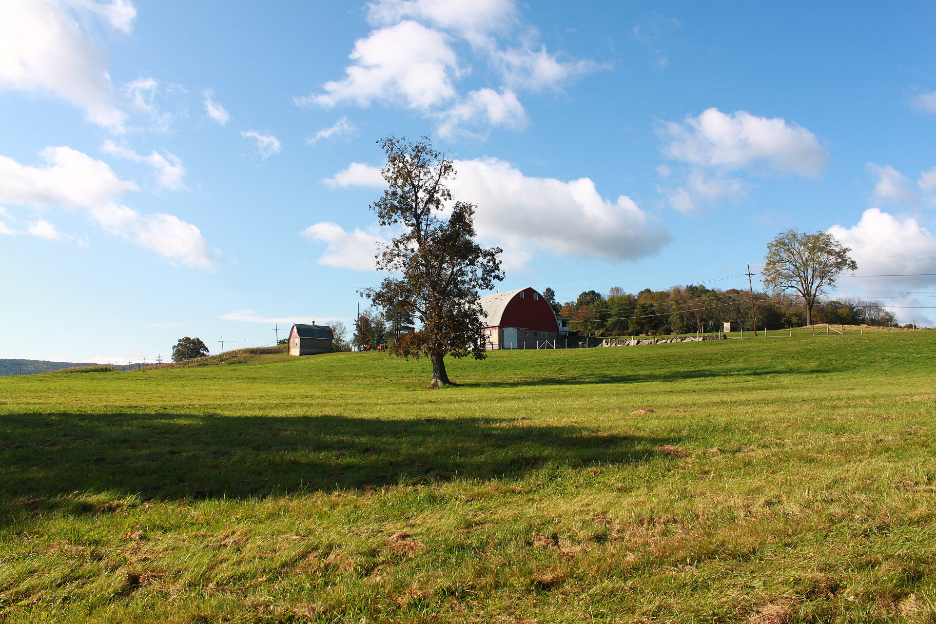 North Branch Land Trust Annual Dinner & Auction 2025 background