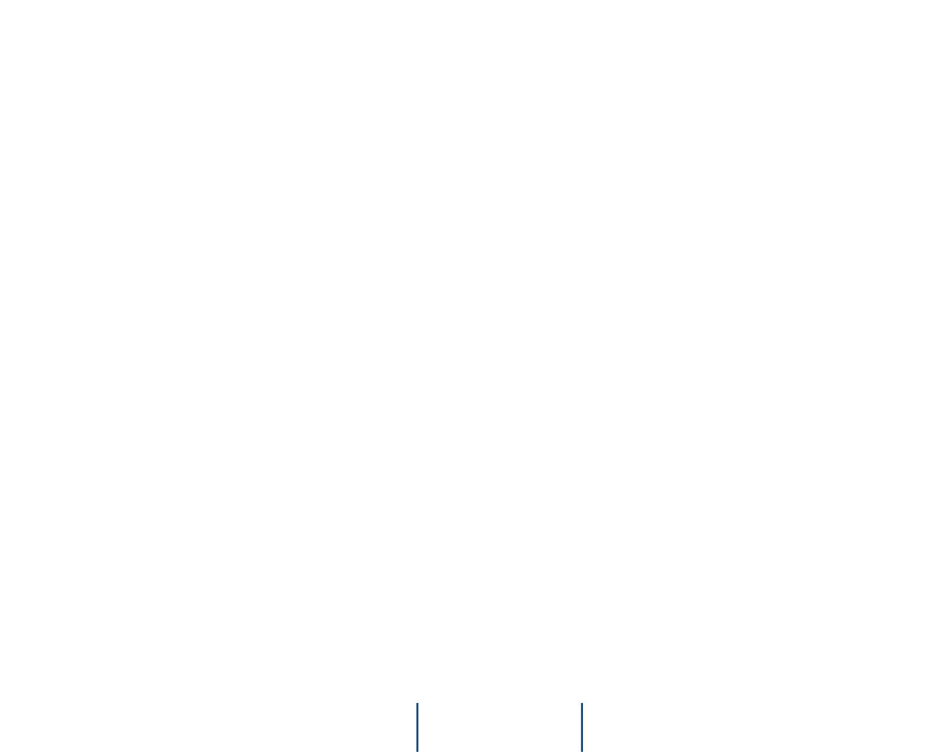 2025 Champions for Children Gala logo