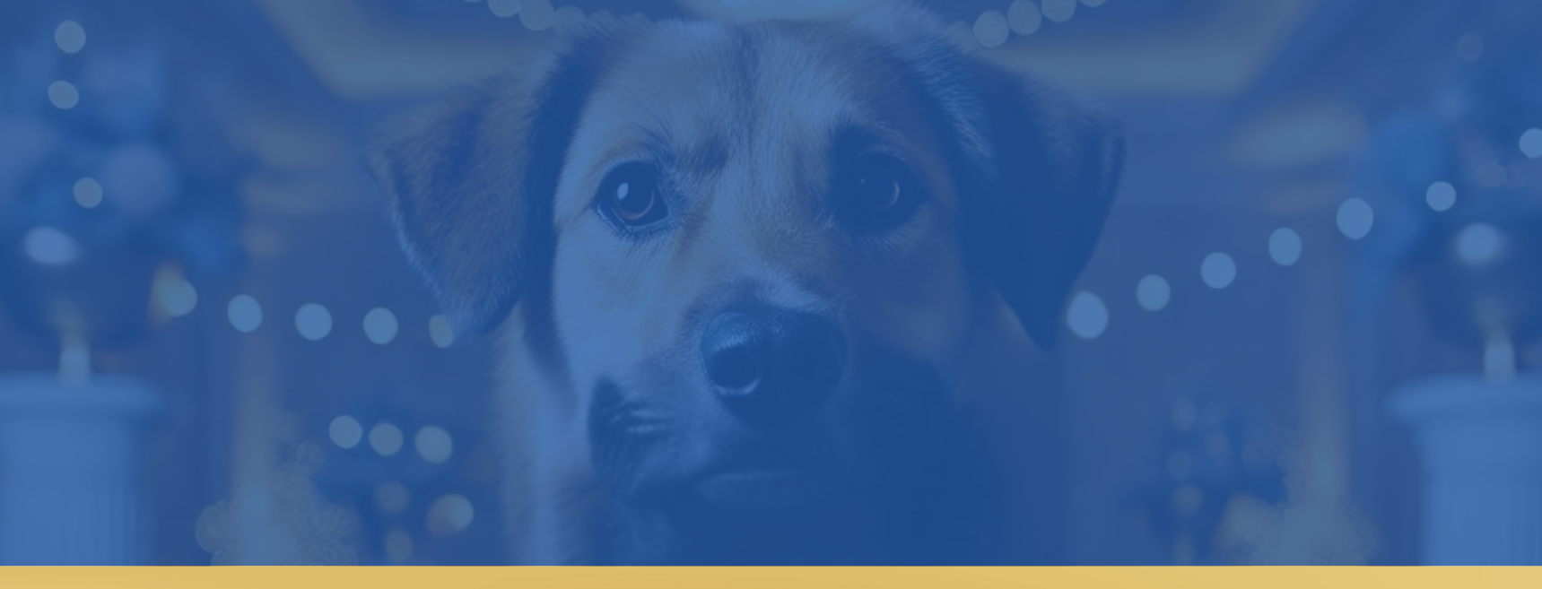 The Bark Benefit 2025 background