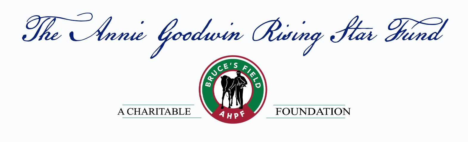 2025 Annie Goodwin Rising Star Fund Auction logo