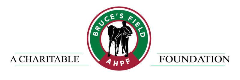 2025 Annie Goodwin Rising Star Fund Auction logo