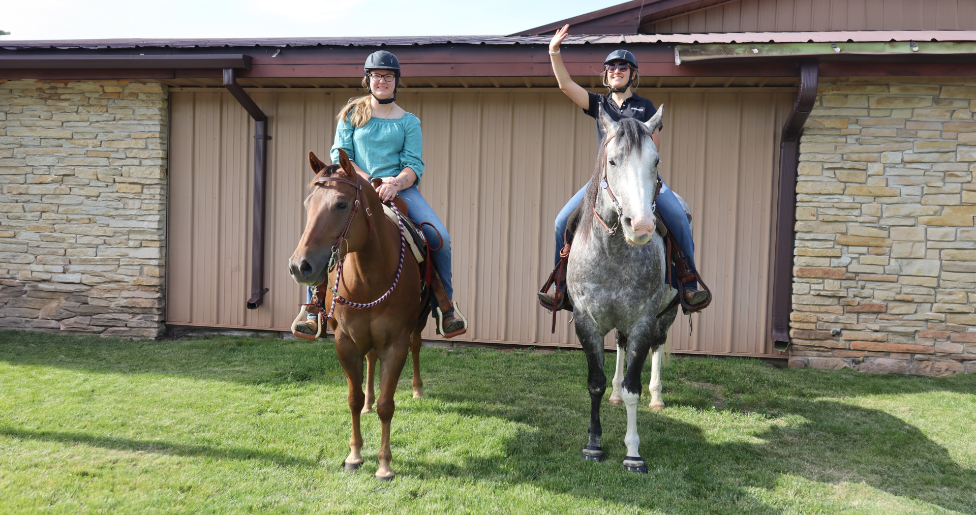 Hooves and Flights background