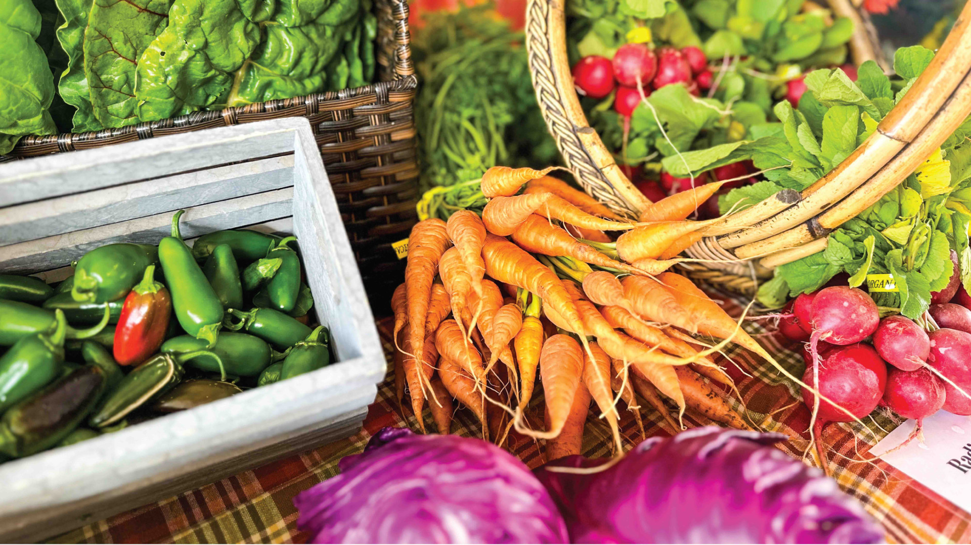 Farm Gala 2025 background