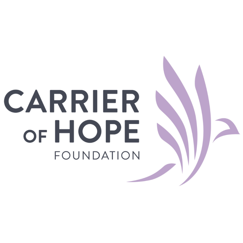 Sponsor logo