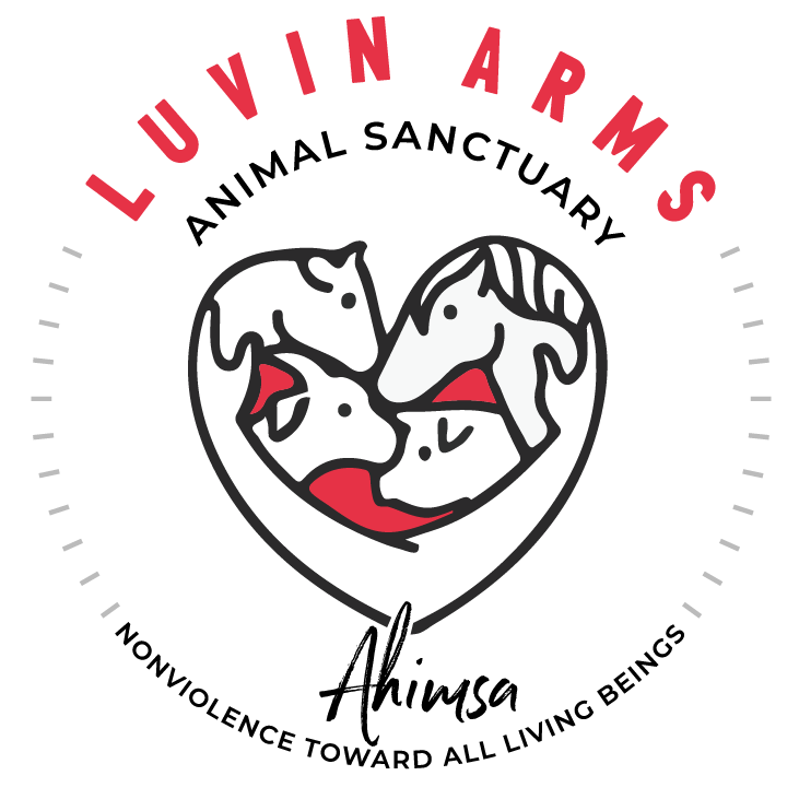 Luvin Arms Animal Sanctuary's 10th Annual Gala logo
