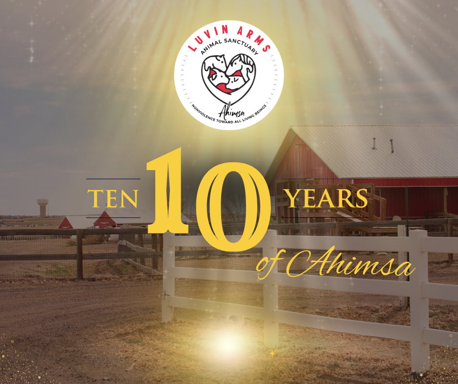 Photo of the Luvin Arms Animal Sanctuary logo and the text 