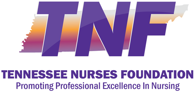 TNF Silent Auction 2025 logo