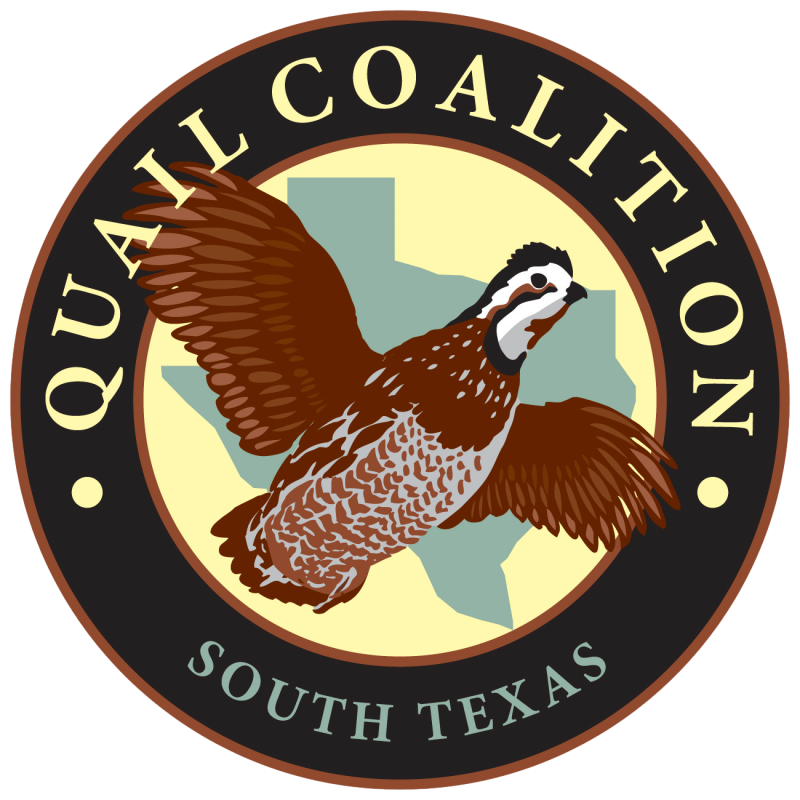 2025 S Texas Quail Coalition logo