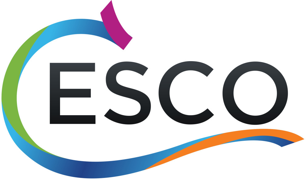 Sponsor logo