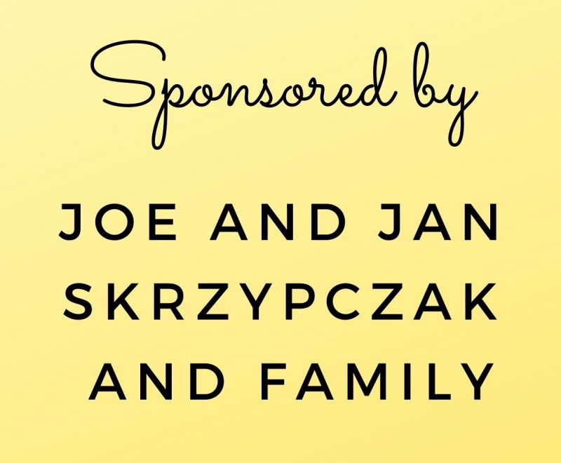 Sponsor logo