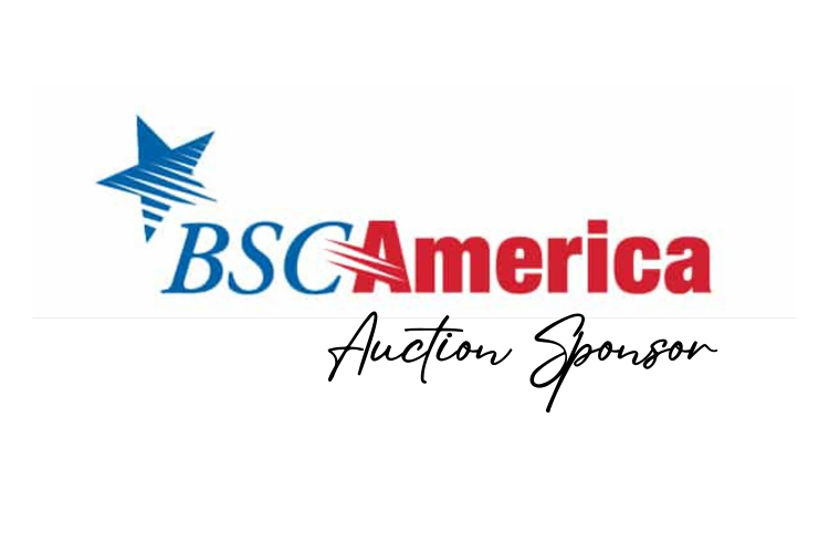 Sponsor logo