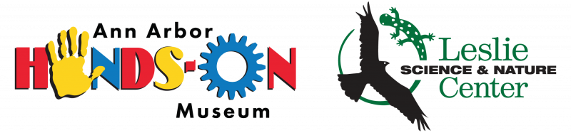 Mayfly Celebration logo