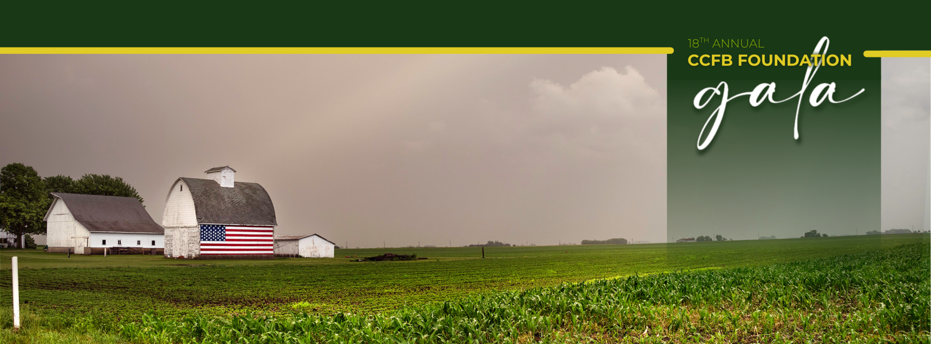 2025 Annual Gala background