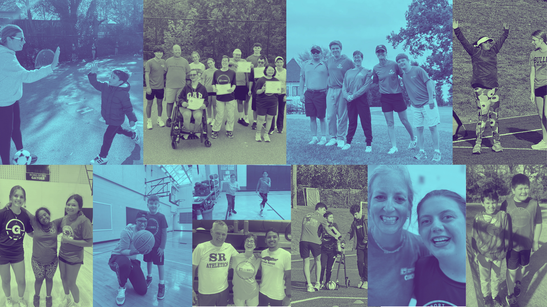 2026 ODS So ALL Can Play Auction background