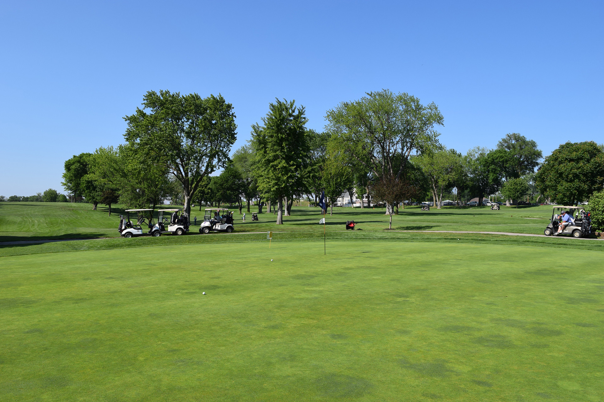 2025 Golf Fore Eagles Silent Auction background