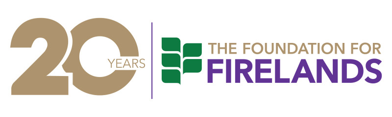 2025 Best Party Ever logo