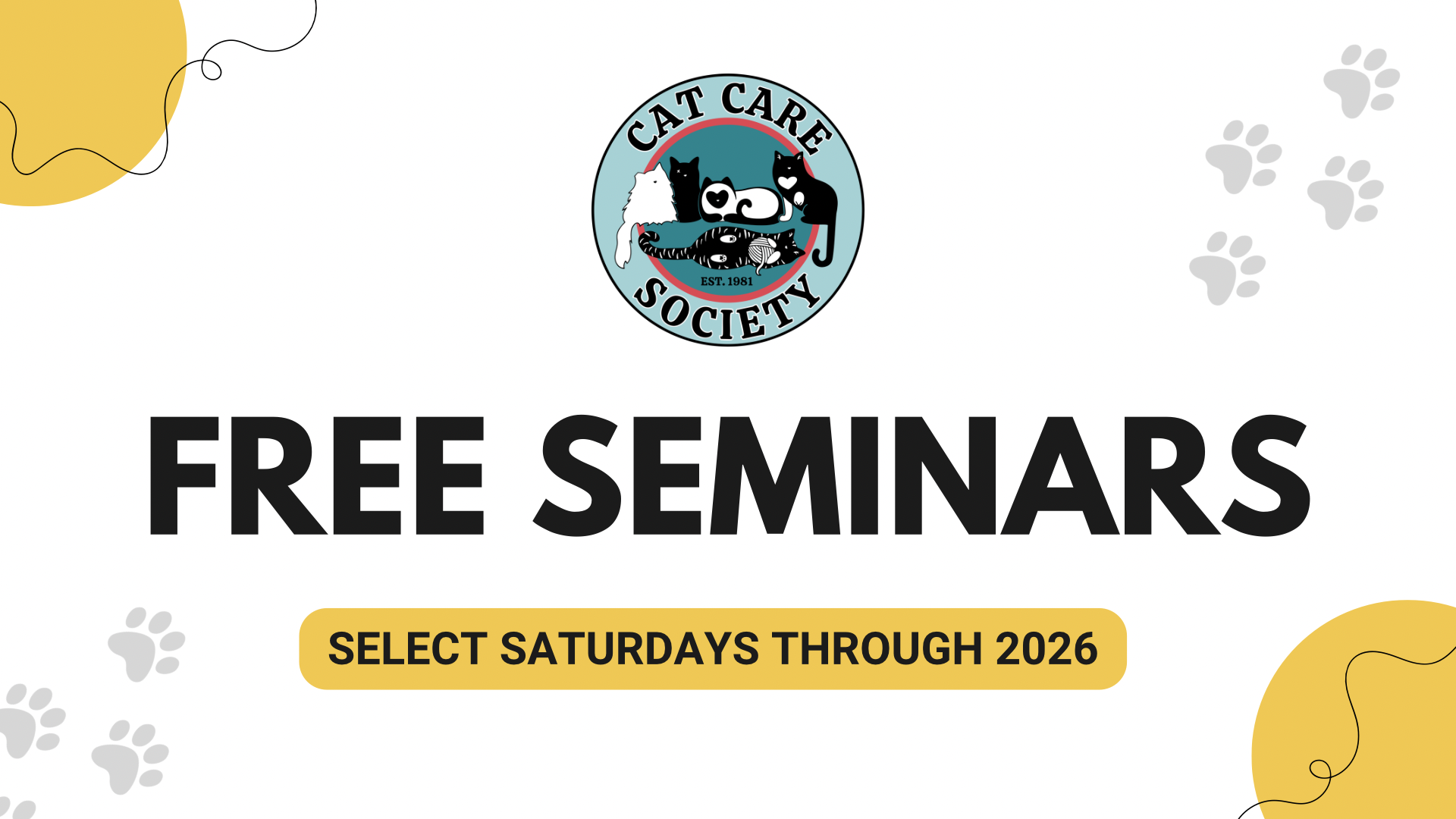 CCS Seminars background