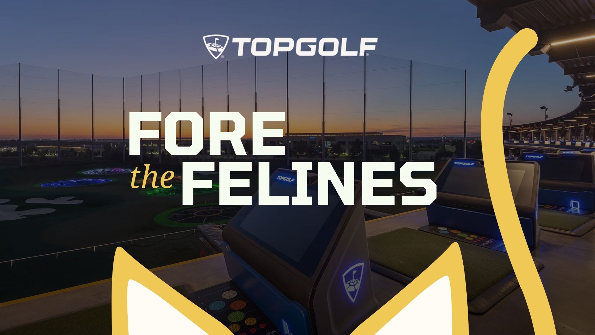 Fore the Felines background