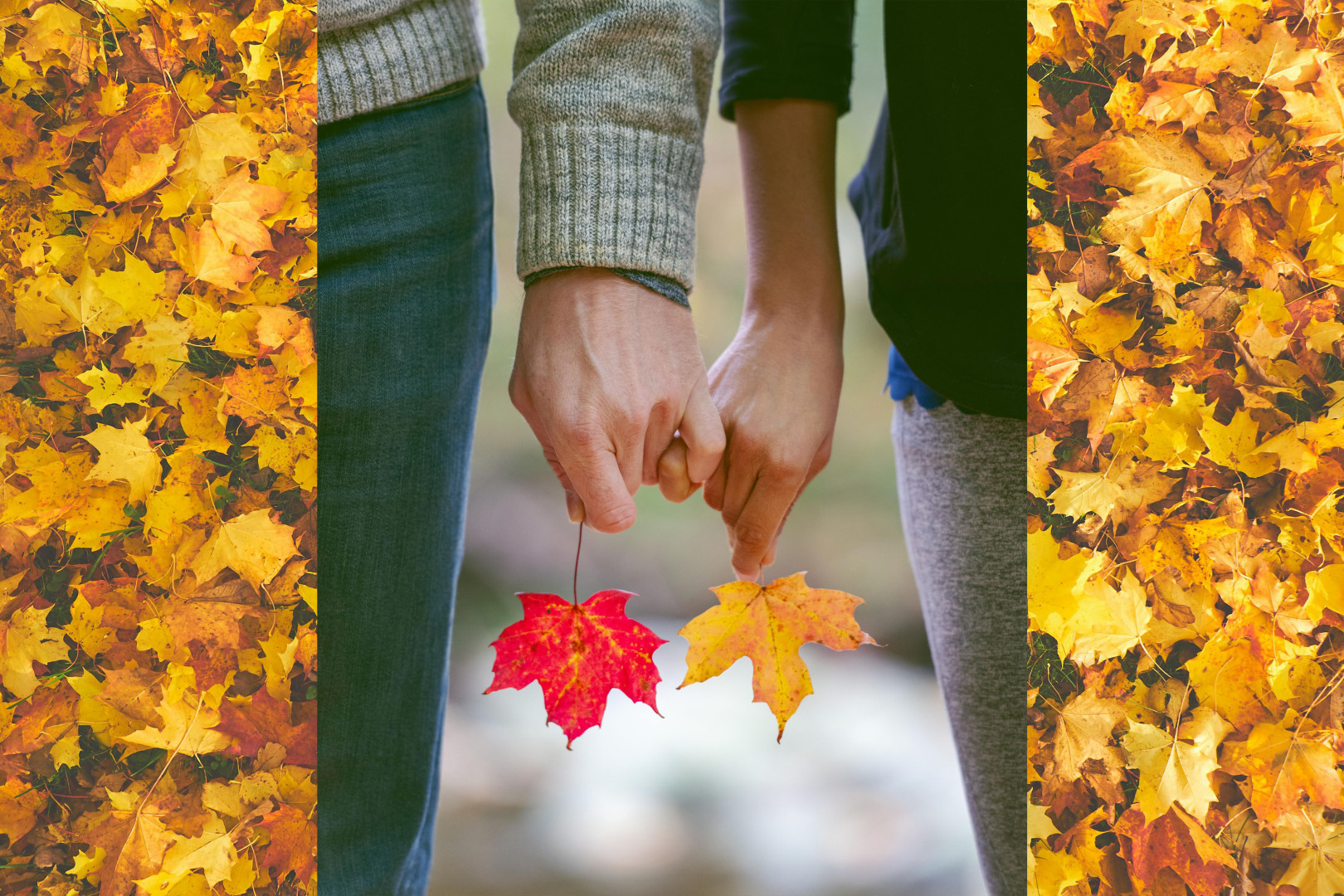 Valley Charities Inc background