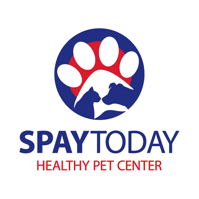 Spayghetti & No Balls Fundraiser & Dinner logo