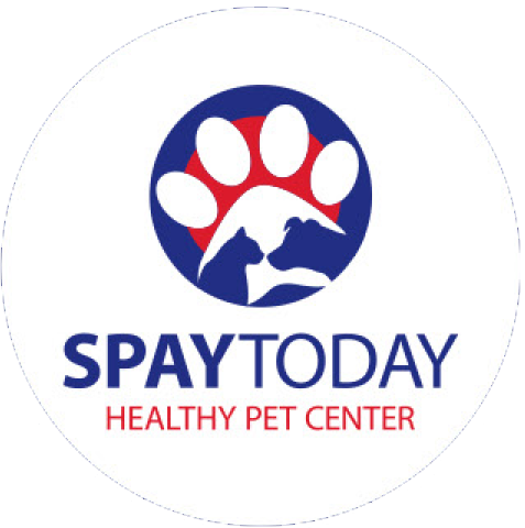 Logo: SpayToday Healthy Pet Center