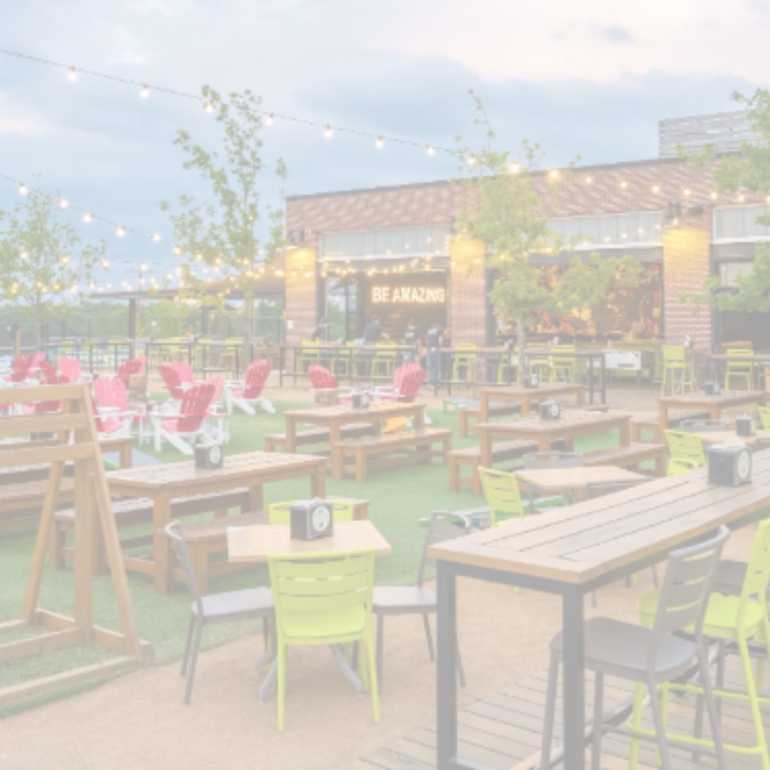 Bark N Bingo background