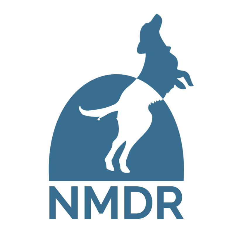 Come As You Are 2025 NMDR Gala logo