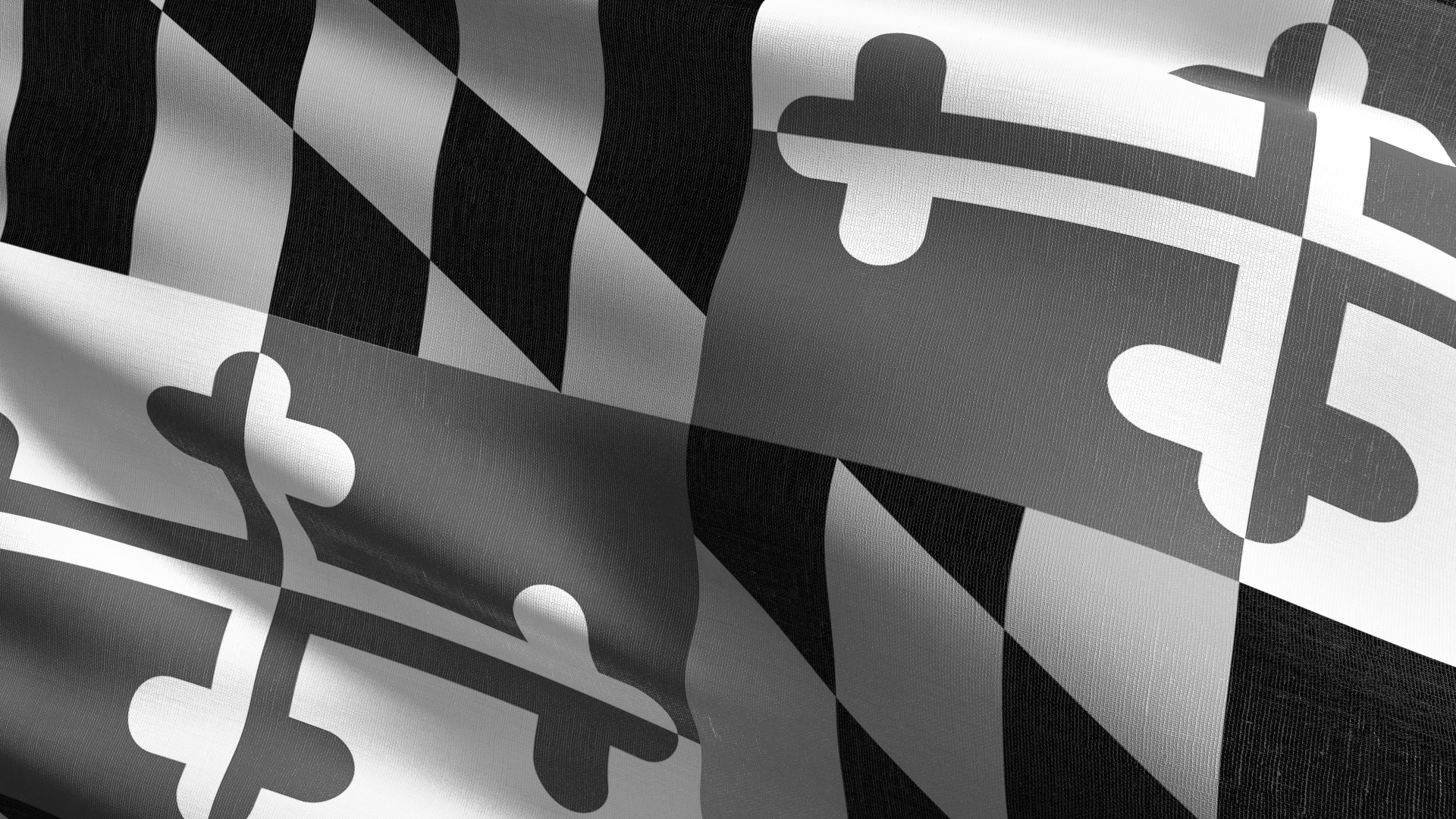 UM BWMC 60th Anniversary Gala background